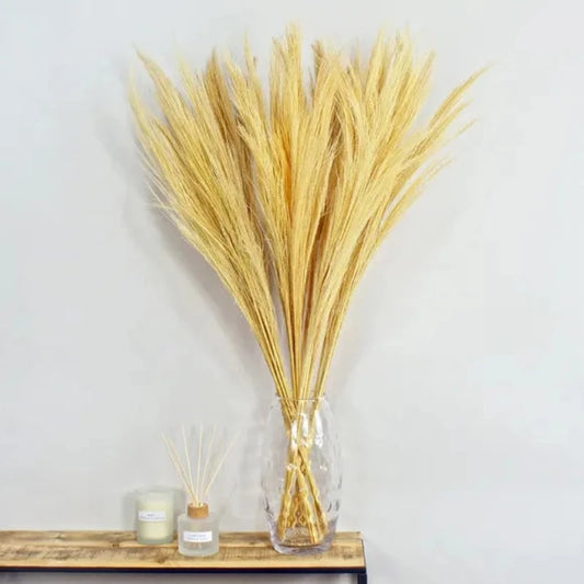 100cm Bleached Bundle of 6 Dried Broom Grass