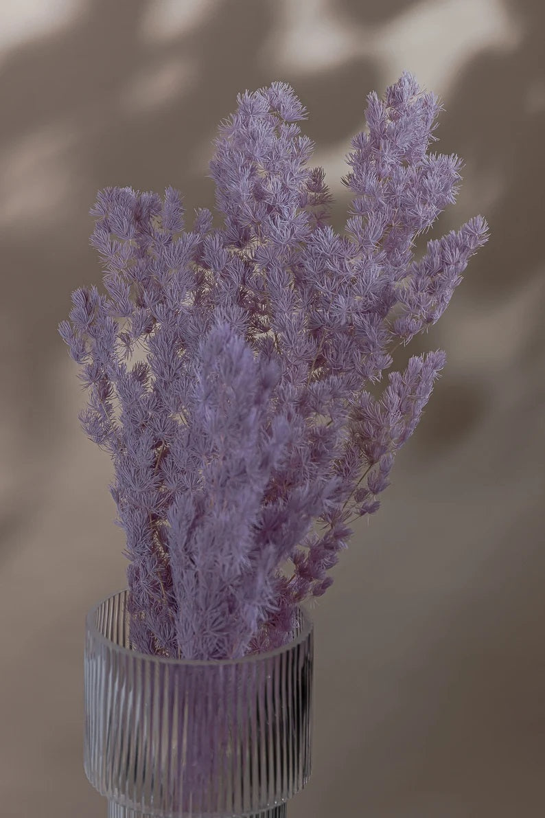 Fluffy Cloud Fern Lilac, Pastel Purple / Dried Wholesale Flowers