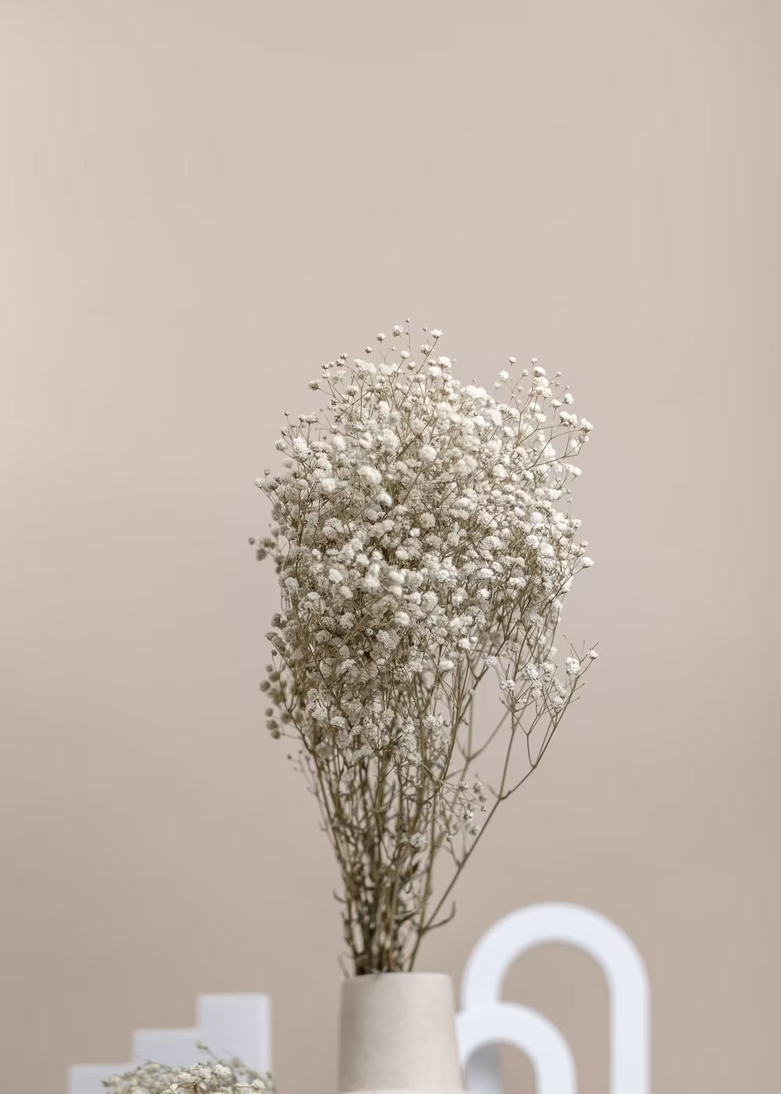 Preserved White Dried Gypsophila Baby's Breath Flowers 